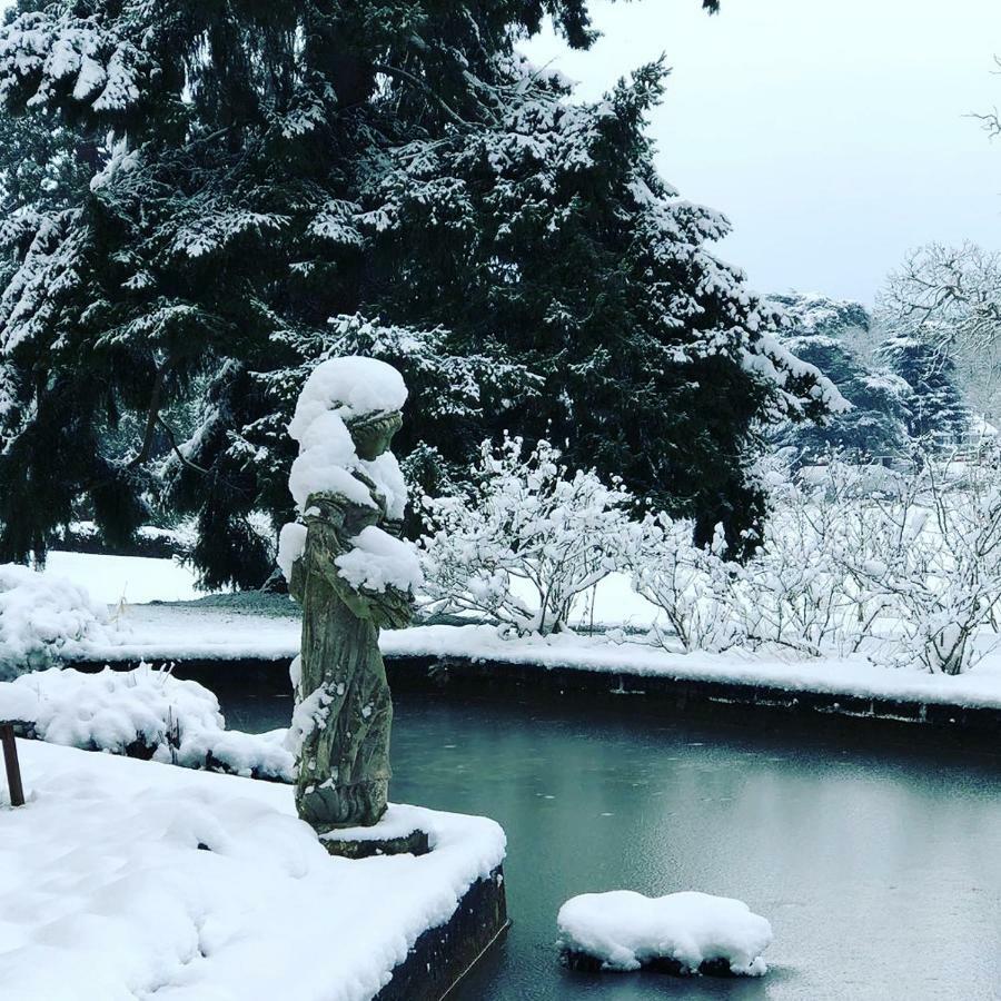 Chateau D'Ardree Bed & Breakfast Saint-Antoine-du-Rocher ภายนอก รูปภาพ